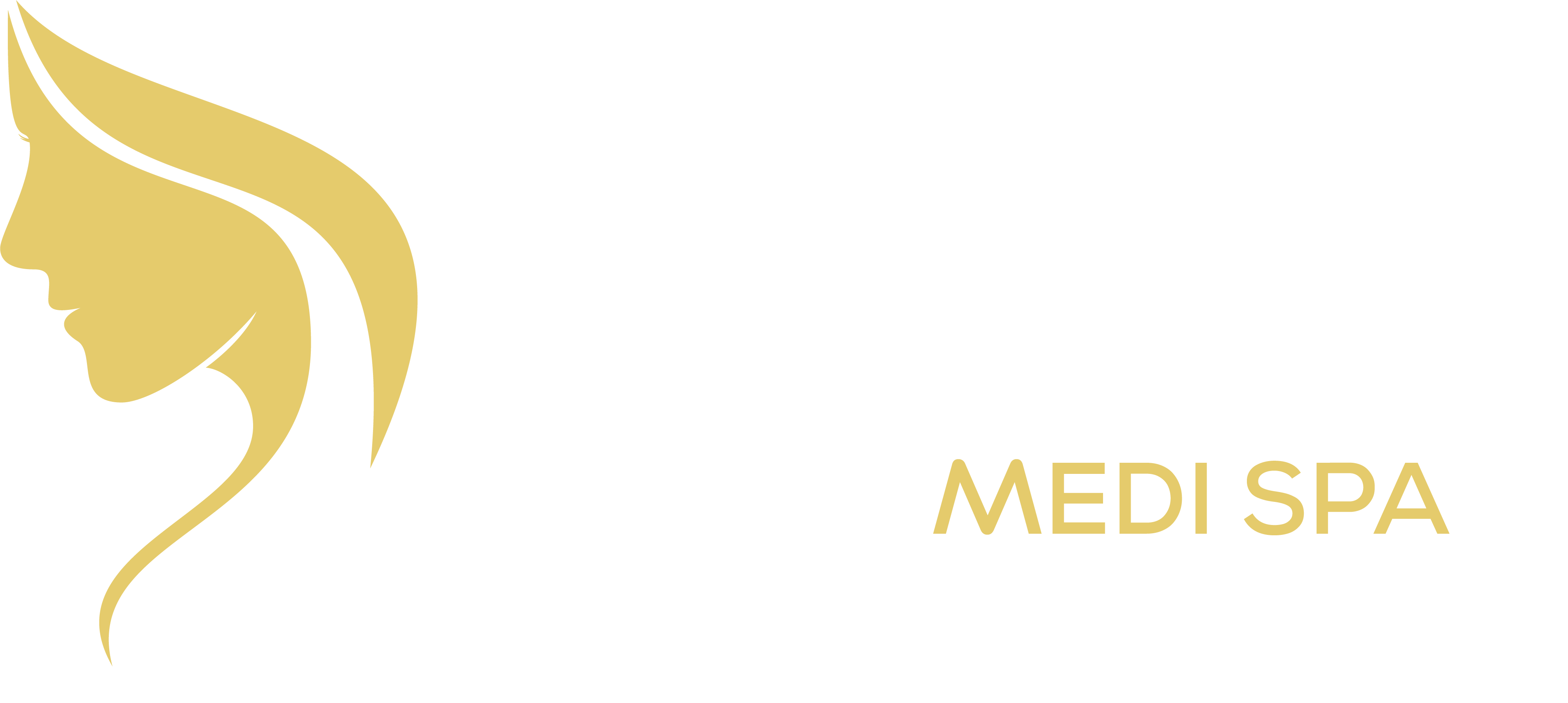 karisma logo v1